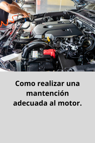 Imagen de ejemplo