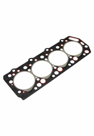 KO555P001